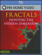 NOVA: Fractals - Hunting the Hidden Dimension [Blu-ray]