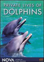 NOVA: Private Lives of Dolphins
