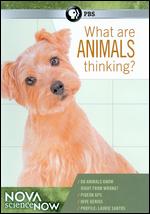 NOVA scienceNOW: What Are Animals Thinking? - Alan Ritsko; Anna Lee Strachan; Joshua Seftel; Michael Bicks