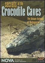 NOVA: Secrets of the Crocodile Caves - The Unique Animals of Madagascar