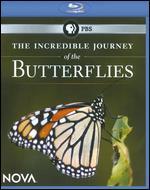 NOVA: The Incredible Journey of the Butterflies [Blu-ray]