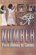 Number: From Ahmes to Cantor - Gazal, Midhat