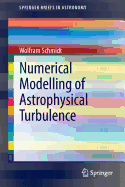 Numerical Modelling of Astrophysical Turbulence