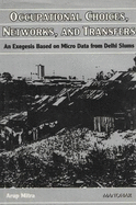 Occupational Choices, Networks, and Transfers: An Exegesis on Micro Data from Delhi Slums