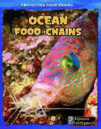Ocean Food Chains