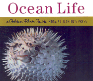 Ocean Life Photo Guide