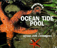 Ocean Tide Pool - L'Hommedieu, Arthur John