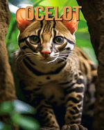 Ocelot: Learn About Ocelot and Enjoy Amazing Facts & Pictures