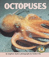 Octopuses - Taylor, L R