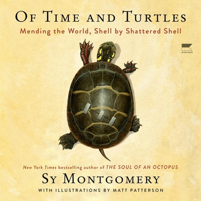 Of Time and Turtles: Mending the World, Shell by Shattered Shell - Montgomery, Sy (Read by)