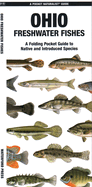 Ohio Freshwater Fishes