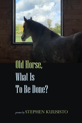 Old Horse, What Is to Be Done? - Kuusisto, Stephen
