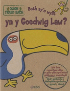 Olion Traed Bach: 4. Beth Sy'n Wyllt yn y Goedwig Law?: Pwy Sy'n Wyllt yn y Goedwig Law?