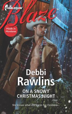 On a Snowy Christmas Night - Rawlins, Debbi