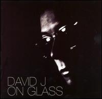 On Glass: The Singles - David J