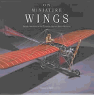 On Miniature Wings