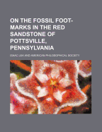 On the Fossil Foot-Marks in the Red Sandstone of Pottsville, Pennsylvania