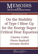 On the Stability of Type I Blow Up for the Energy Super Critical Heat Equation