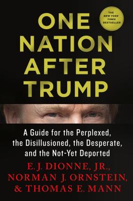 One Nation After Trump: A Guide for the Perplexed, the Disillusioned, the Desperate, and the Not-Yet Deported - Dionne, E J, Jr., and Ornstein, Norman J, and Mann, Thomas E