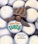 One Tiny Turtle