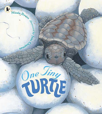One Tiny Turtle - Davies, Nicola