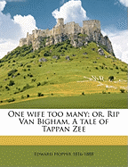 One Wife Too Many; Or, Rip Van Bigham, a Tale of Tappan Zee