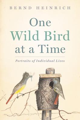 One Wild Bird at a Time: Portraits of Individual Lives - Heinrich, Bernd, PhD
