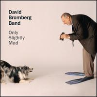 Only Slightly Mad - The David Bromberg Band
