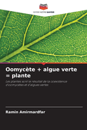 Oomycte + algue verte = plante