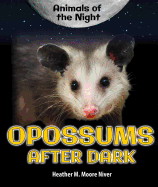 Opossums After Dark