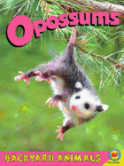 Opossums with Code