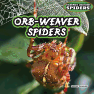 Orb-Weaver Spiders