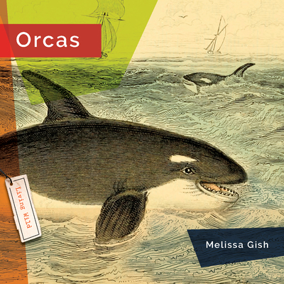 Orcas - Gish, Melissa
