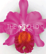 Orchids: From the Archives of the Royal Horticultural Society