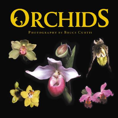 Orchids - Curtis, Bruce