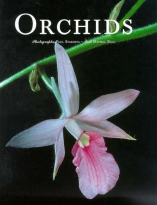 Orchids - Paul, Michel
