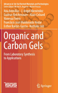 Organic and Carbon Gels: From Laboratory Synthesis to Applications