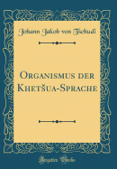 Organismus Der Khetsua-Sprache (Classic Reprint)
