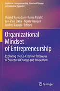 Organizational Mindset of Entrepreneurship: Exploring the Co-Creation Pathways of Structural Change and Innovation
