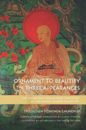 Ornament to Beautify the Three Appearances: The Mahayana Preliminary Practices of the Sakya Lamdr? Tradition