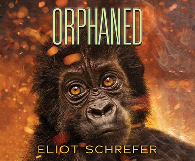 Orphaned - Schrefer, Eliot, and Ezzo, Lauren (Narrator)
