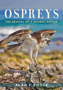 Ospreys: The Revival of a Global Raptor