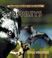 Ospreys - Wechsler, Doug