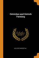 Ostriches and Ostrich Farming