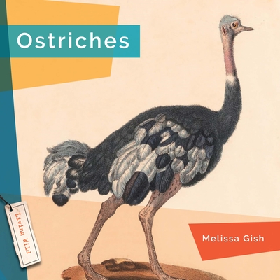 Ostriches - Gish, Melissa