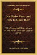 Our Native Ferns and How to Study Them: With Synoptical Descriptions of the North American Species (1890)