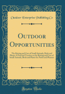 Outdoor Opportunities: The Raising and Care of Small Animals, Birds and Plants; A Practical Treatise on the Raising and Care of Small Animals, Birds and Plants for Profit and Pleasure (Classic Reprint)