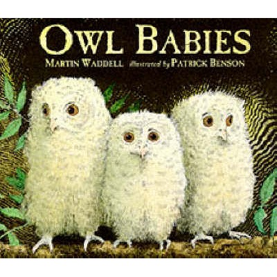 Owl Babies - Waddell, Martin