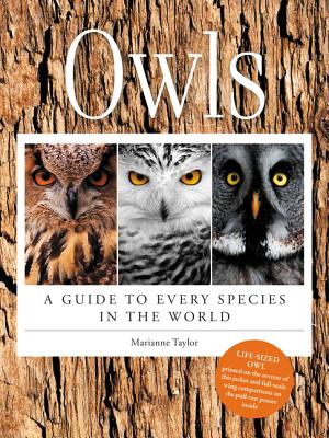Owls: A Guide to Every Species in the World - Taylor, Marianne