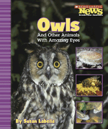 Owls and Other Animals with Amazing Eyes